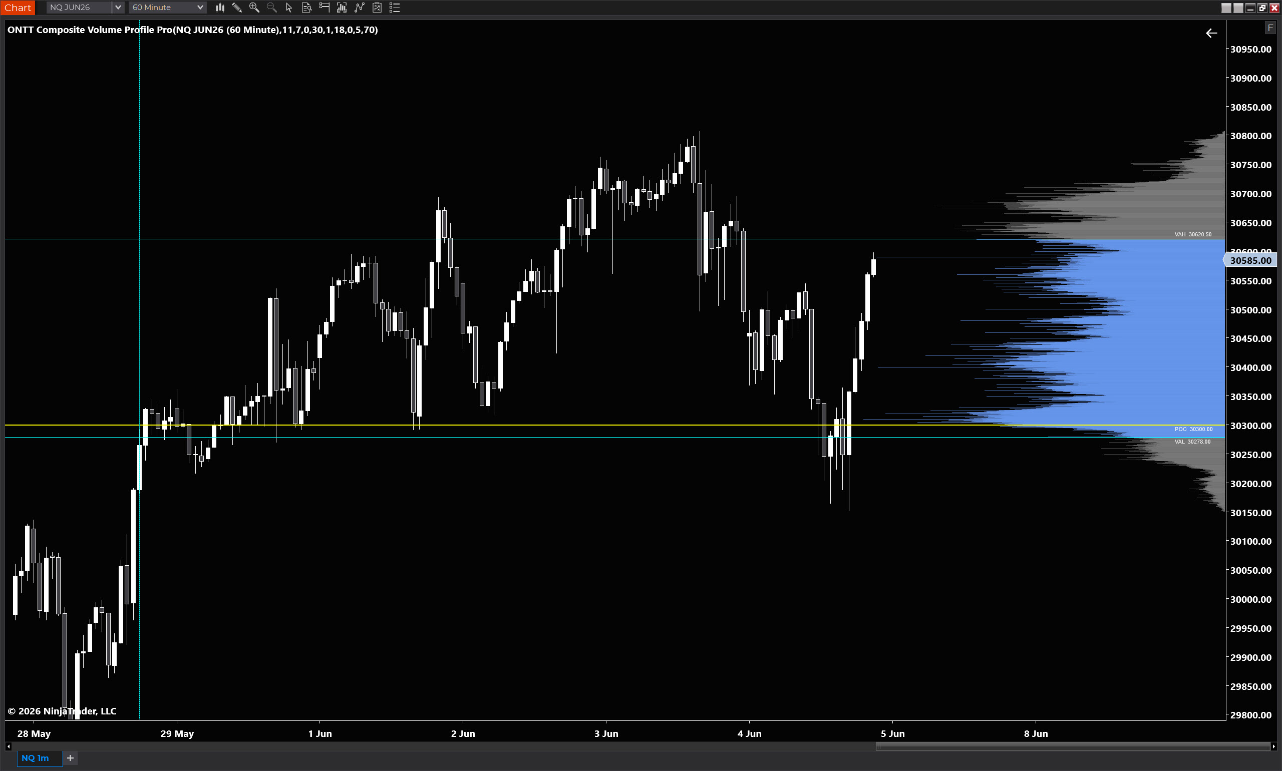 Composite Volume Profile Pro histogram on right side of chart